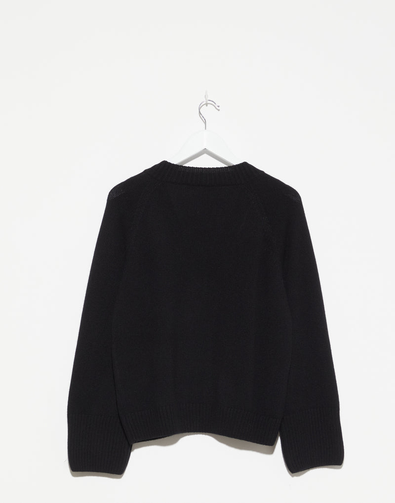 Black Cashmere Jara V Neck Pullover